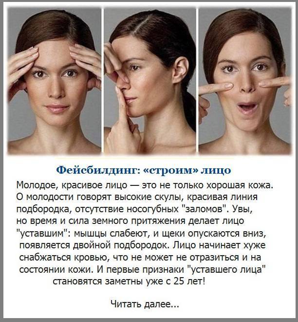 Как похудеть в лице, чтобы появились скулы - 3 лучших способаwomfit