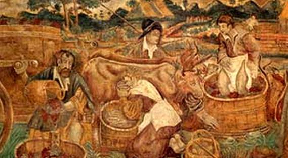 История виноделия, классификация вин, история виноделия - организация работы сомелье - навчальні матеріали онлайн