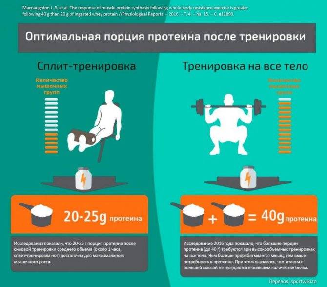 Протеин или гейнер: что лучше для набора мышечной массы?