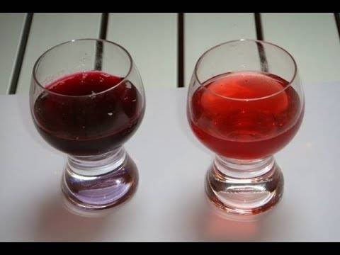 Вино из крыжовника в домашних условиях рецепт с водкой. ликёр, вино и наливка из крыжовника. | здоровое питание