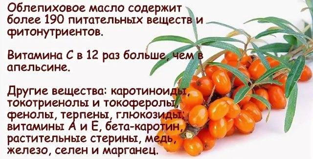 Облепиха: полезные свойства, противопоказания,польза,рецепты