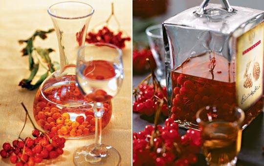 Настойка на рябине в домашних условиях