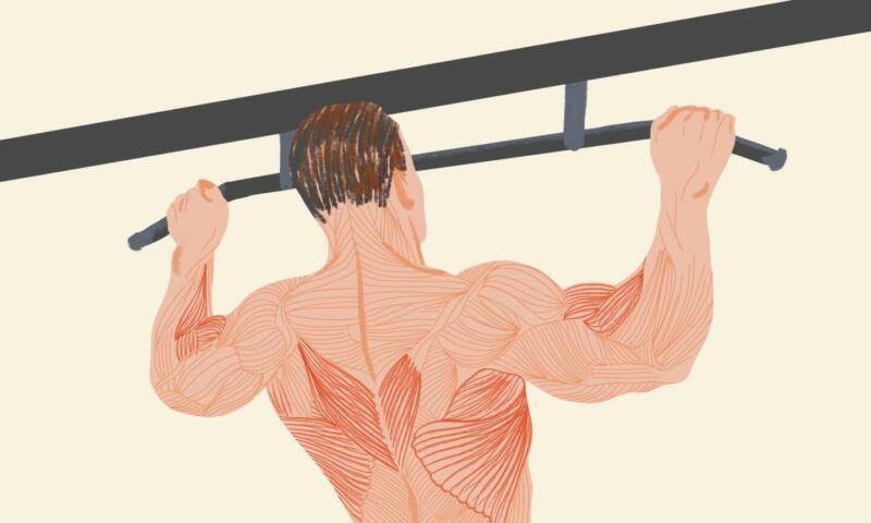 Австралийские подтягивания