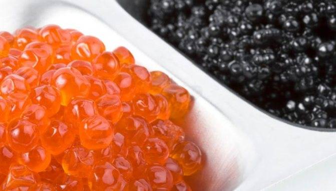 Красная икра: польза и вред, калорийность. натуральная красная икра: чем полезна и кому именно, а кому её употреблять вредно? полезна ли красная икра при гастрите - новая медицина