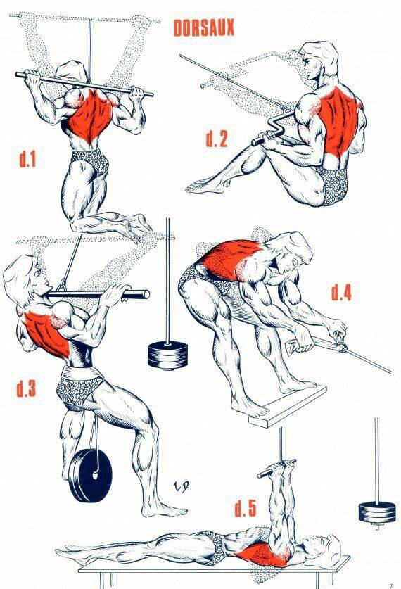 Как накачать пресс: упражнения для пресса в домашних условиях мужчинам