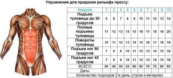 Прокачиваем мышцы спины: руководство для начинающих как сделать спину широкой и рельефной