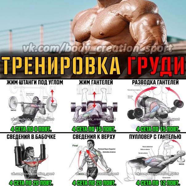 Эффективная программа тренировка грудь спина в один день