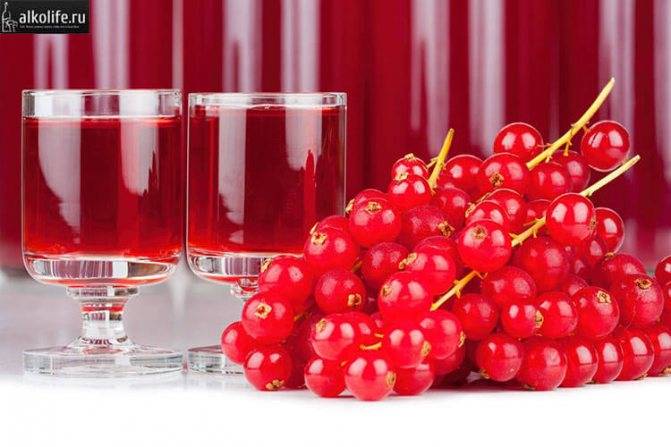 Рецепт приготовления черносмородинового ликера в домашних условиях
