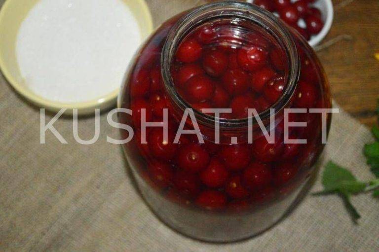 Вишневая наливка: 12 рецептов в домашних условиях