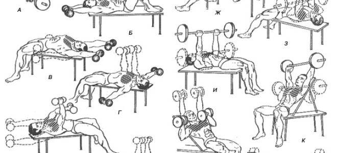 Как накачать грудь девушке. лучшие способы и секреты