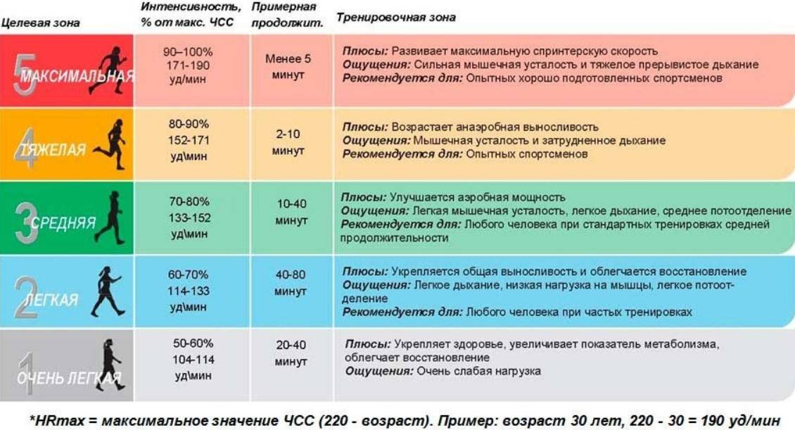 Виды физических нагрузок и их интенсивность проект