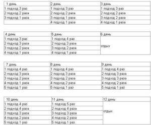 Подтягивания на турнике с нуля, программа и схема для начинающих, техника выполнения