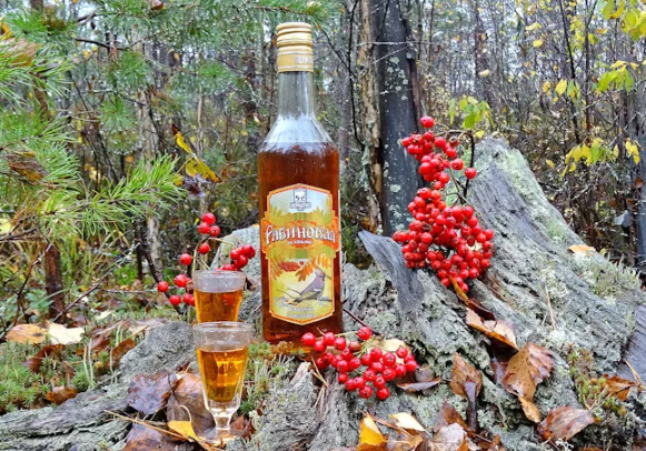 Рябиновая настойка, рецепты | выпейменя.рф