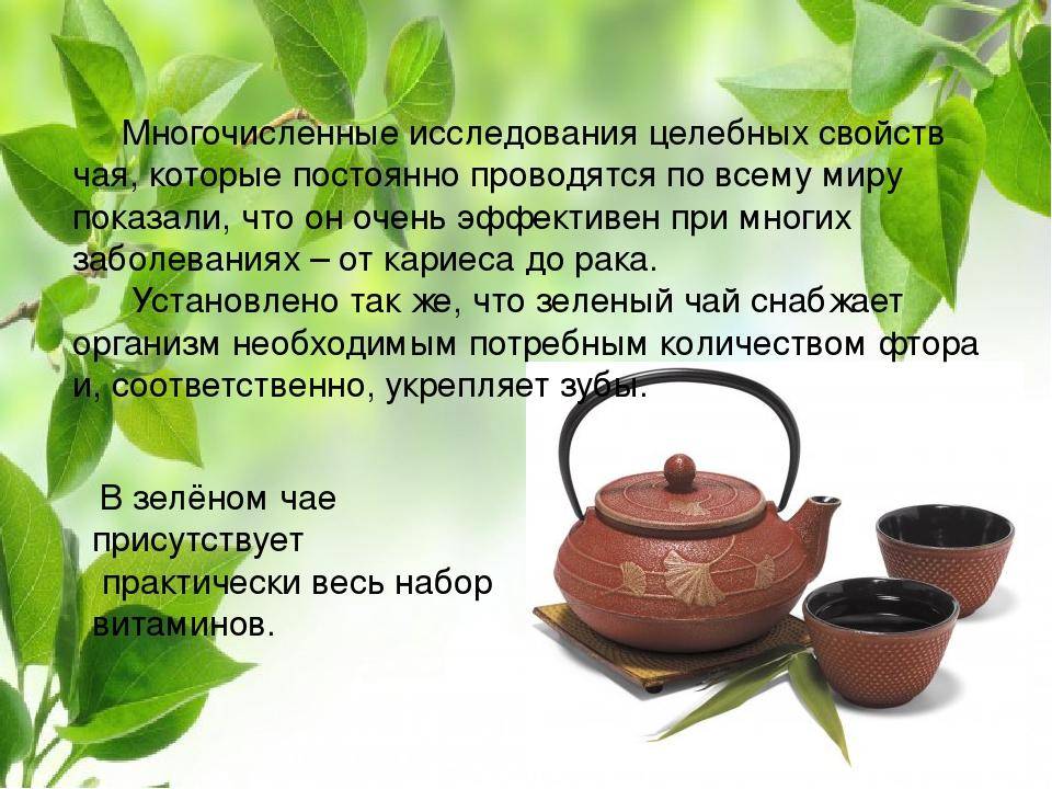 Полезные свойства и вред. Польза чая. Полезные свойства чая. Зелёный чай польза. Чем полезен чай.