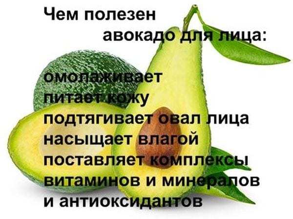 Авокадо: польза и вред для организма, калорийность, состав