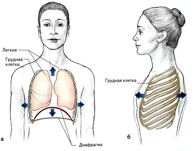 Как правильно дышать: техника правильного дыхания