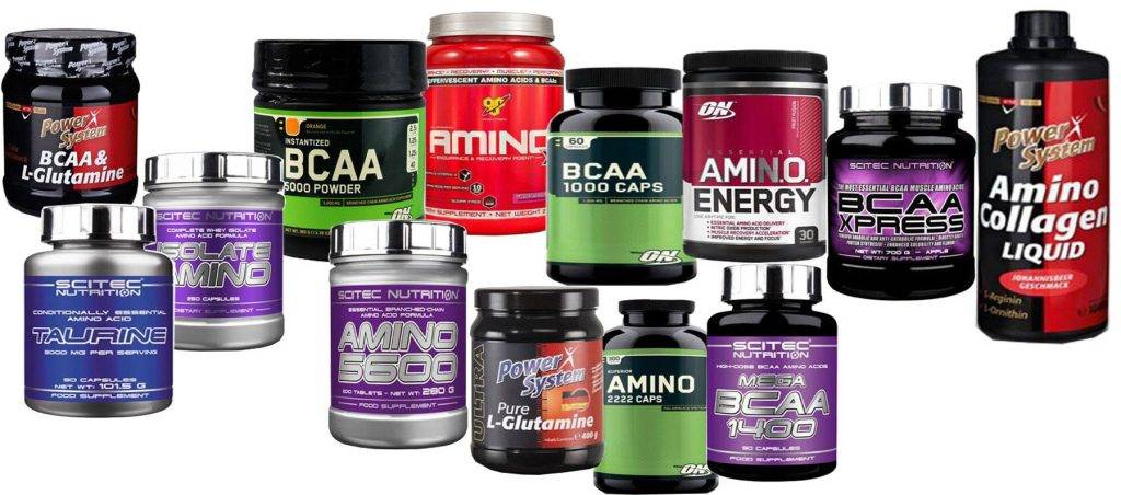 Протеин vs аминокислоты: что лучше?
