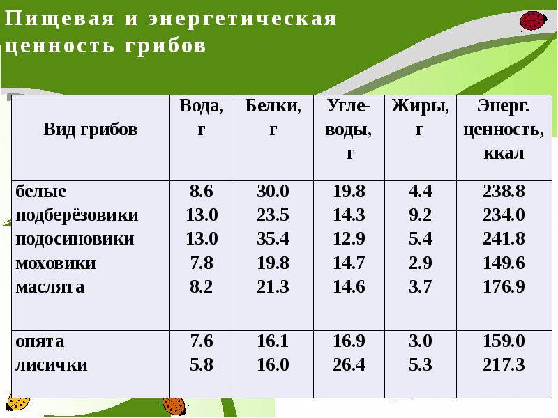 Салат грибы пищевая ценность