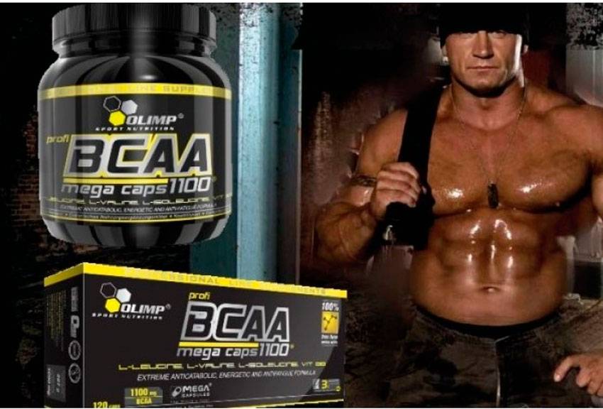 Bcaa 1000 caps от optimum nutrition: как принимать, состав и отзывы
