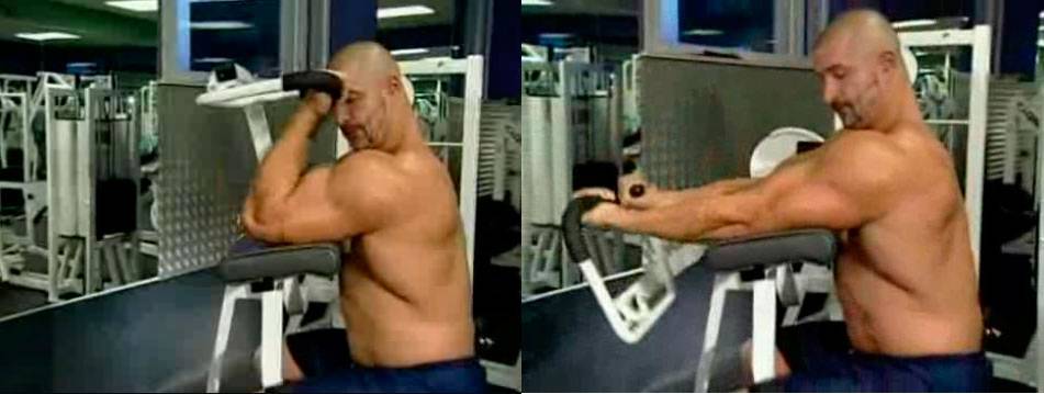 Как накачать руки мужчине с гантелями: 5 готовых планов