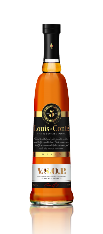 Шейкер: что это такое, история и виды