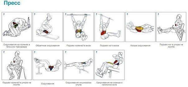 Тренажеры для пресса и живота: домашние и в спортзале