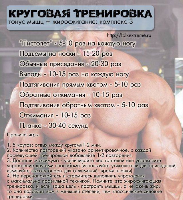 Как заставить организм сжигать жир, а не мышцы