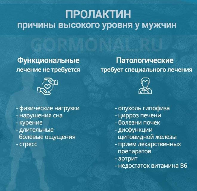 Анализ крови на пролактин. норма, причины повышения и снижения уровня гормона. как подготовится к тесту? :: polismed.com