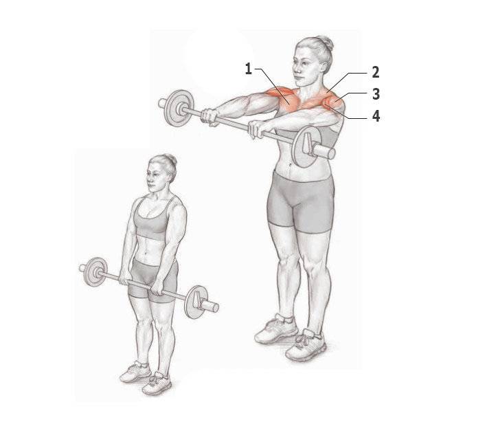 Жим гантелей на плечи сидя и стоя – техника, польза и недостатки
