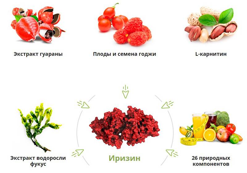 L-карнитин: полезные свойств и вред