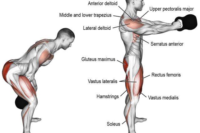 Махи ногами: какие мышцы работают и техника выполнения