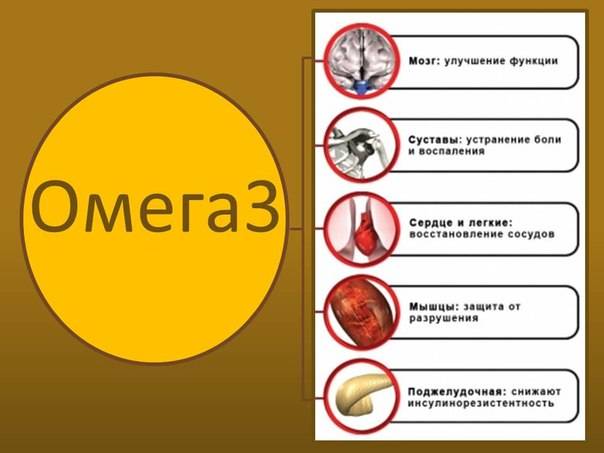 Рыбий жир: польза и вред для организма, противопоказания
