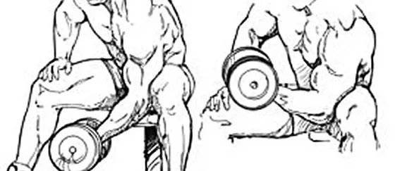 Подъем гантелей на бицепс