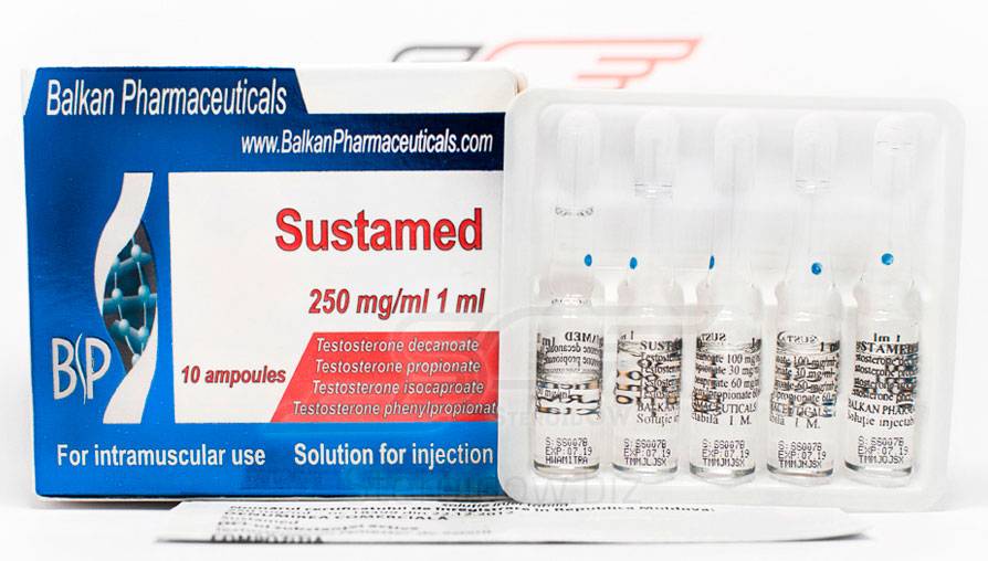 Курс сустанона — характеристика препарата, побочки и пкт, положительные и отрицательные стороны, как составить курс сустанона