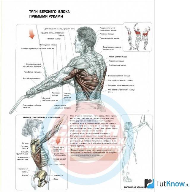 Тяга вертикального блока – крутое упражнение для развития v-образной спины!