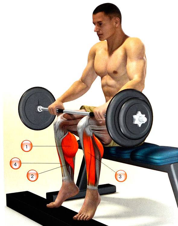 Подъем ног в висе на турнике (toes to bar)