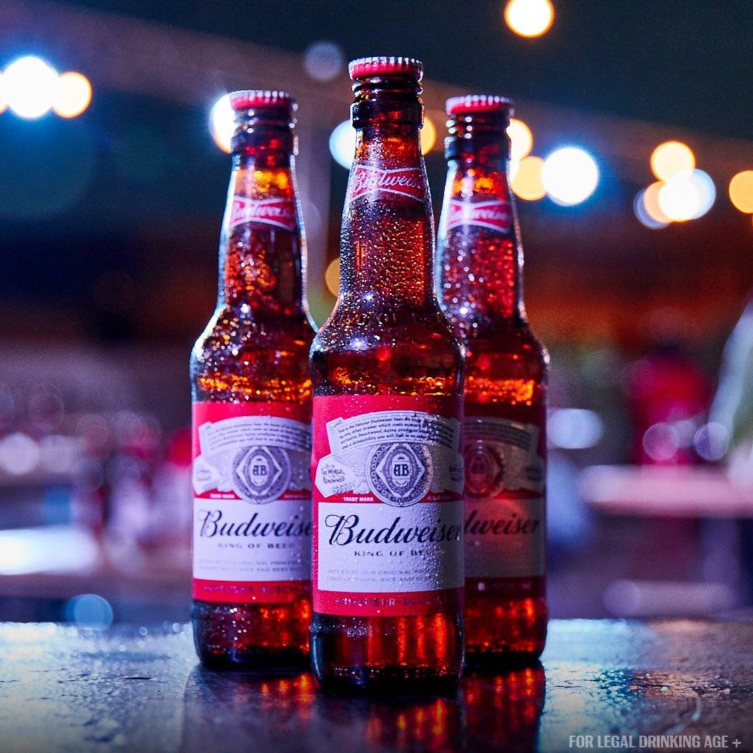 Пиво budweiser (будвайзер) — особенности напитка