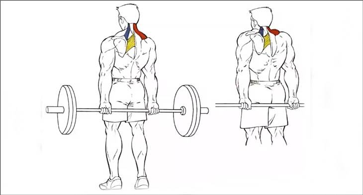 Становая тяга на прямых ногах "мертвая тяга"