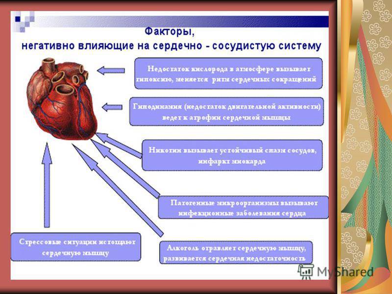 Фрукты понижающие гемоглобин