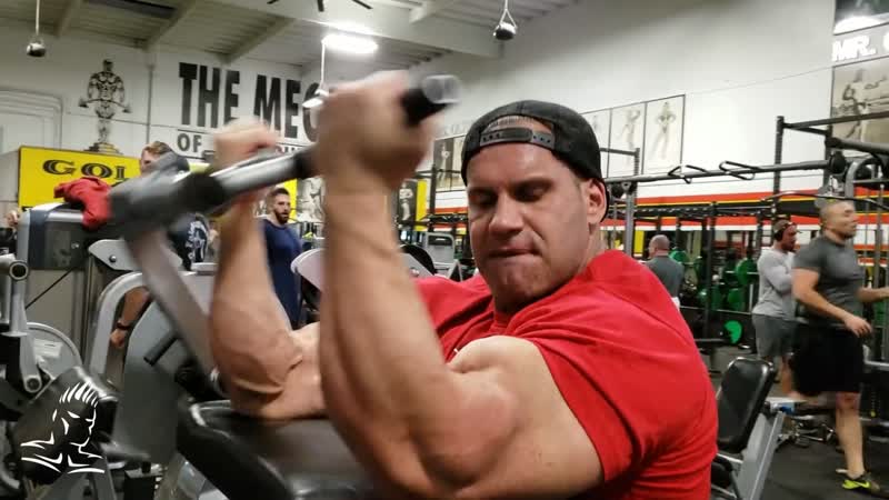 Программа тренировки рук fst-7 - dailyfit