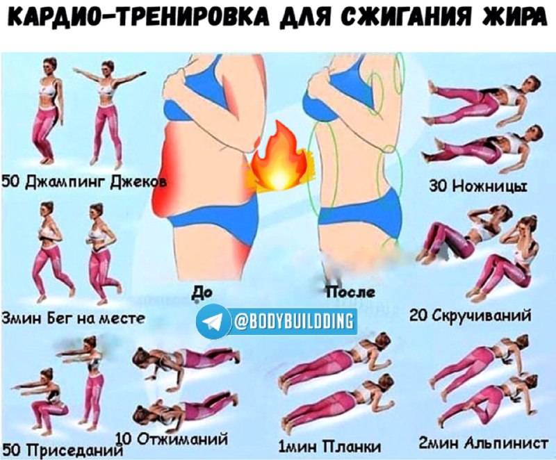 Как сжигать жир, а не мышцы при кардиотренировках