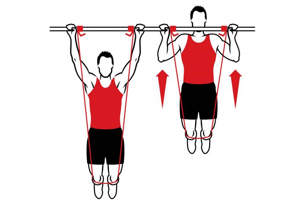 Виды подтягиваний на турнике. какие выбрать?