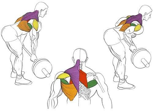 Как быстро накачать крылья - в домашних условиях, в зале
