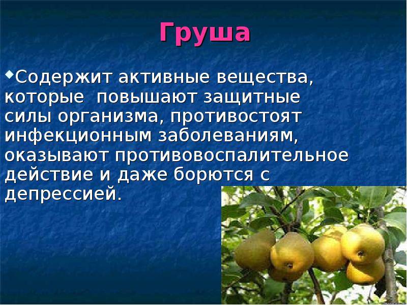 Груша: польза и вред, калорийность, полезные и лечебные свойства, противопоказания для мужчин и женщин