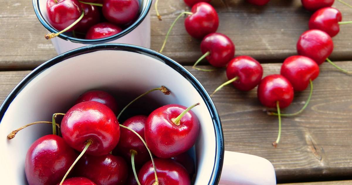 Черешня польза и вред для здоровья организма женщины, мужчины