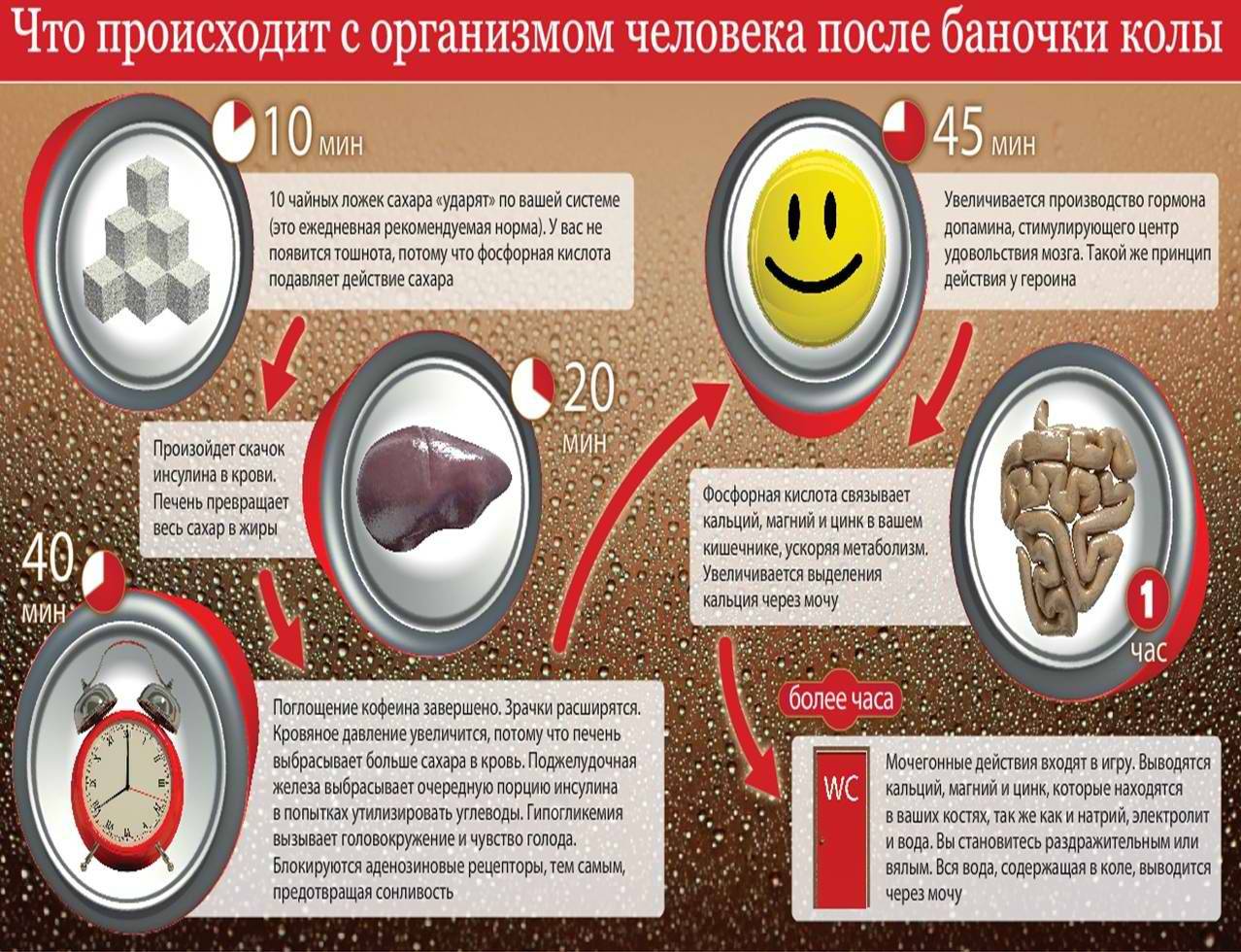 Что произойдет в жизни после людей. Как Кока-кола влияет на организм человека. Влияние Кока колы на организм человека. Вред Кока колы. Вред Кока-колы на организм человека.