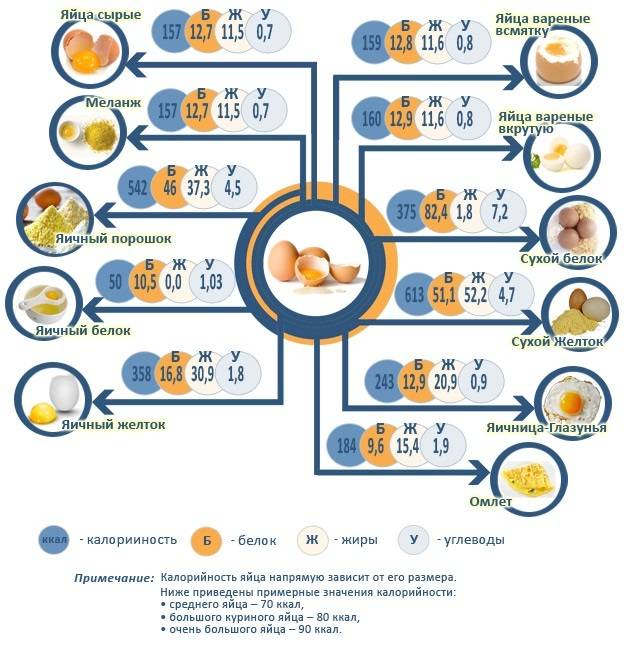 Сколько калорий в яйце и правила употребления