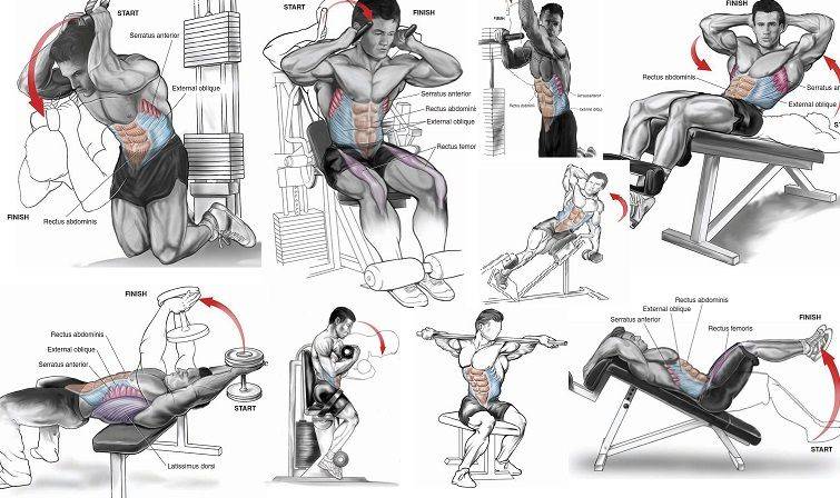 Как накачать пресс правильно в домашних условиях: эффективно и быстро, программа для накачки, схема и график