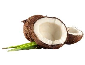 Кокос польза и вред для здоровья организма женщин, мужчин, детей