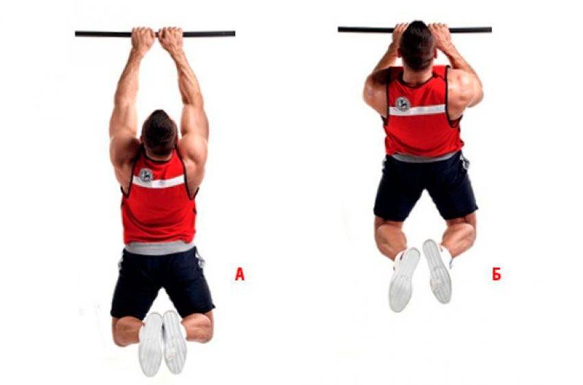 Подтягивания обратным хватом: польза, виды и техника выполнения